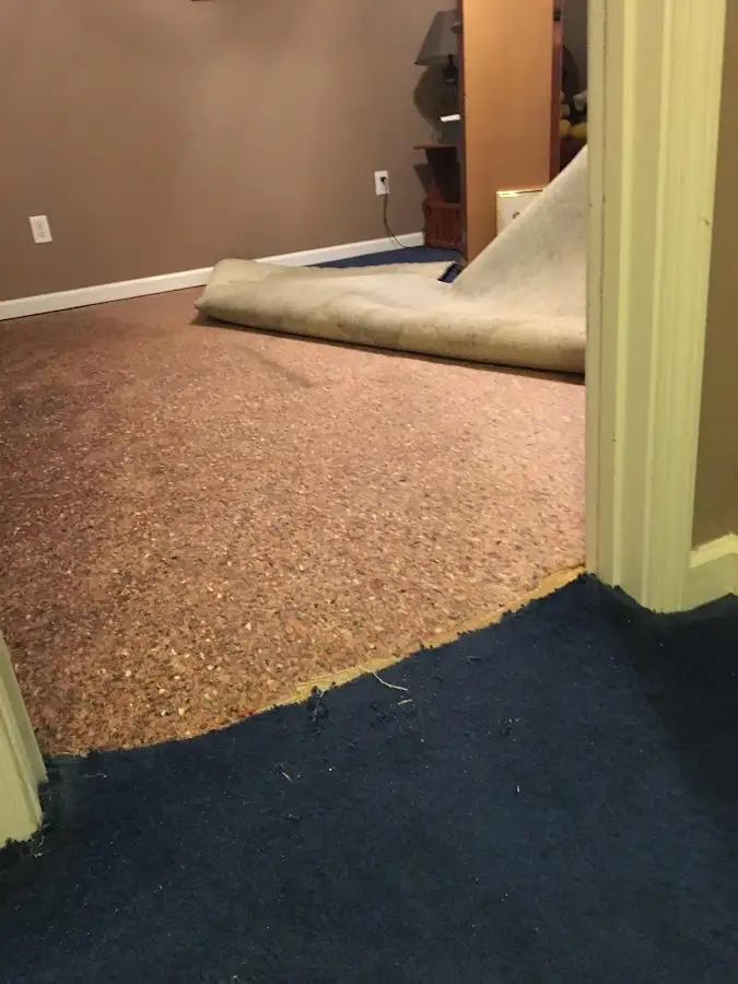 Carpet pad removal revealing water damage during Water Mitigation Services in Londonderry
