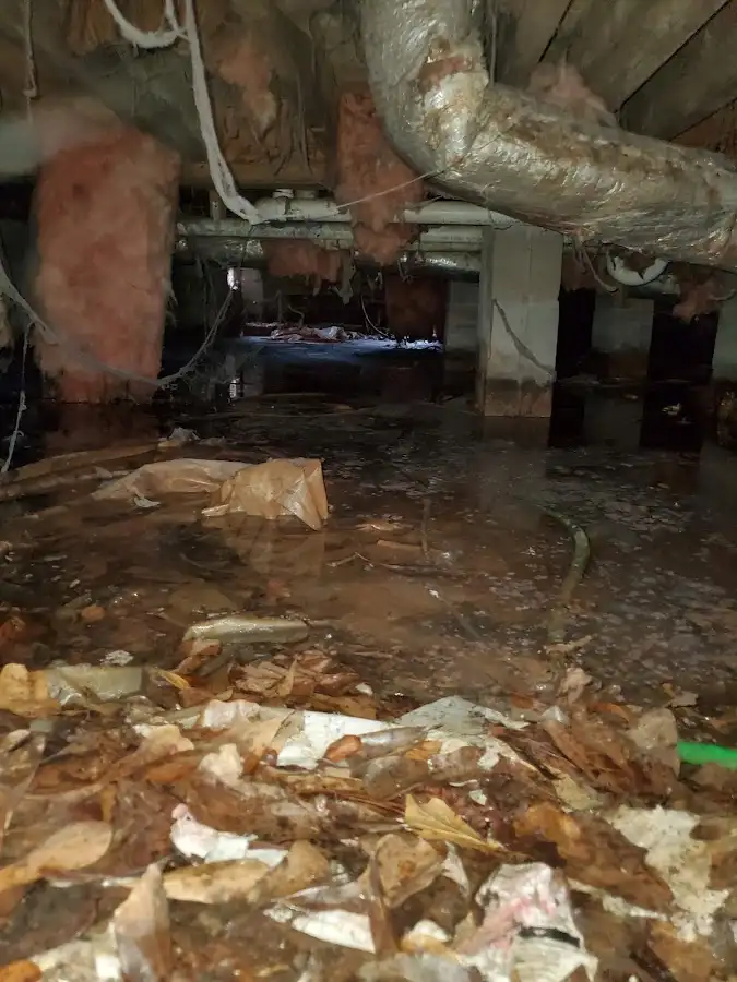 Crawl space flood assessment for Leak Detection & Repair in Londonderry