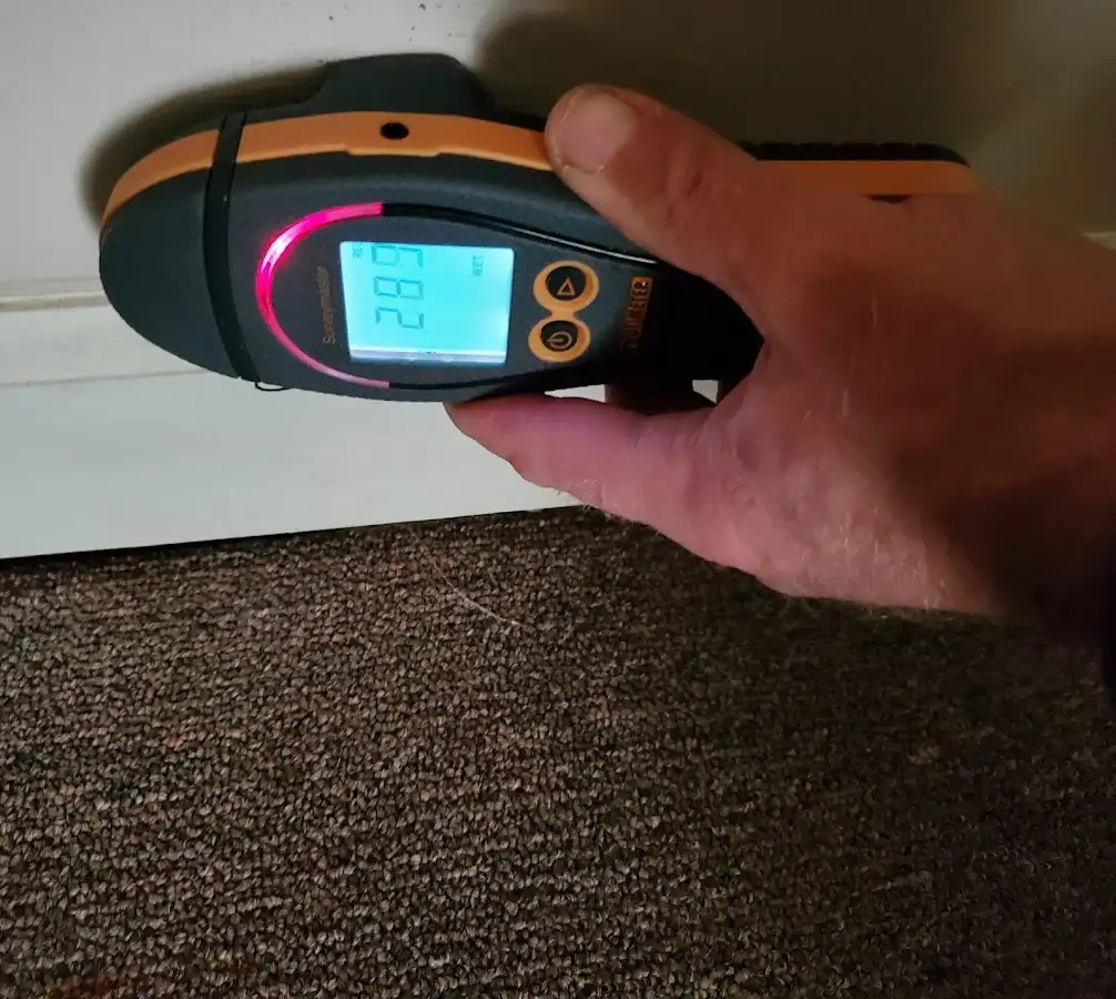 Moisture detection at baseboard during Sewage Cleanup & Sanitation in Londonderry